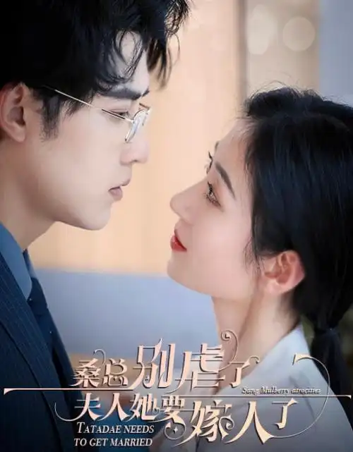 全职法师移动端优化版封面